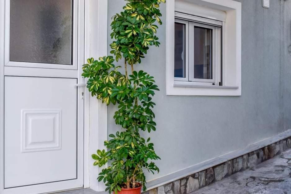 Klaidis House Apartamento Skiathos Town Exterior foto